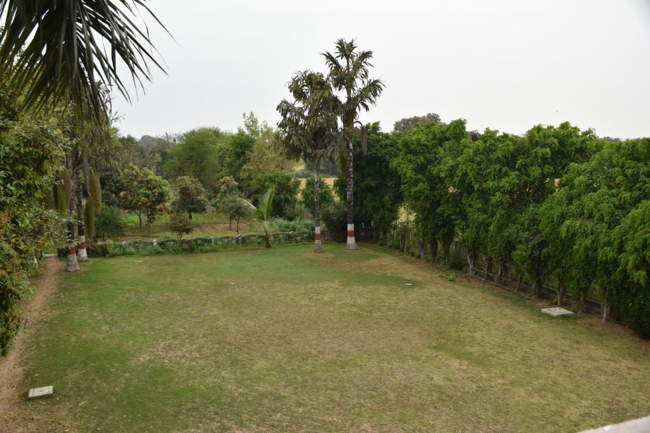 Greenwood 3*