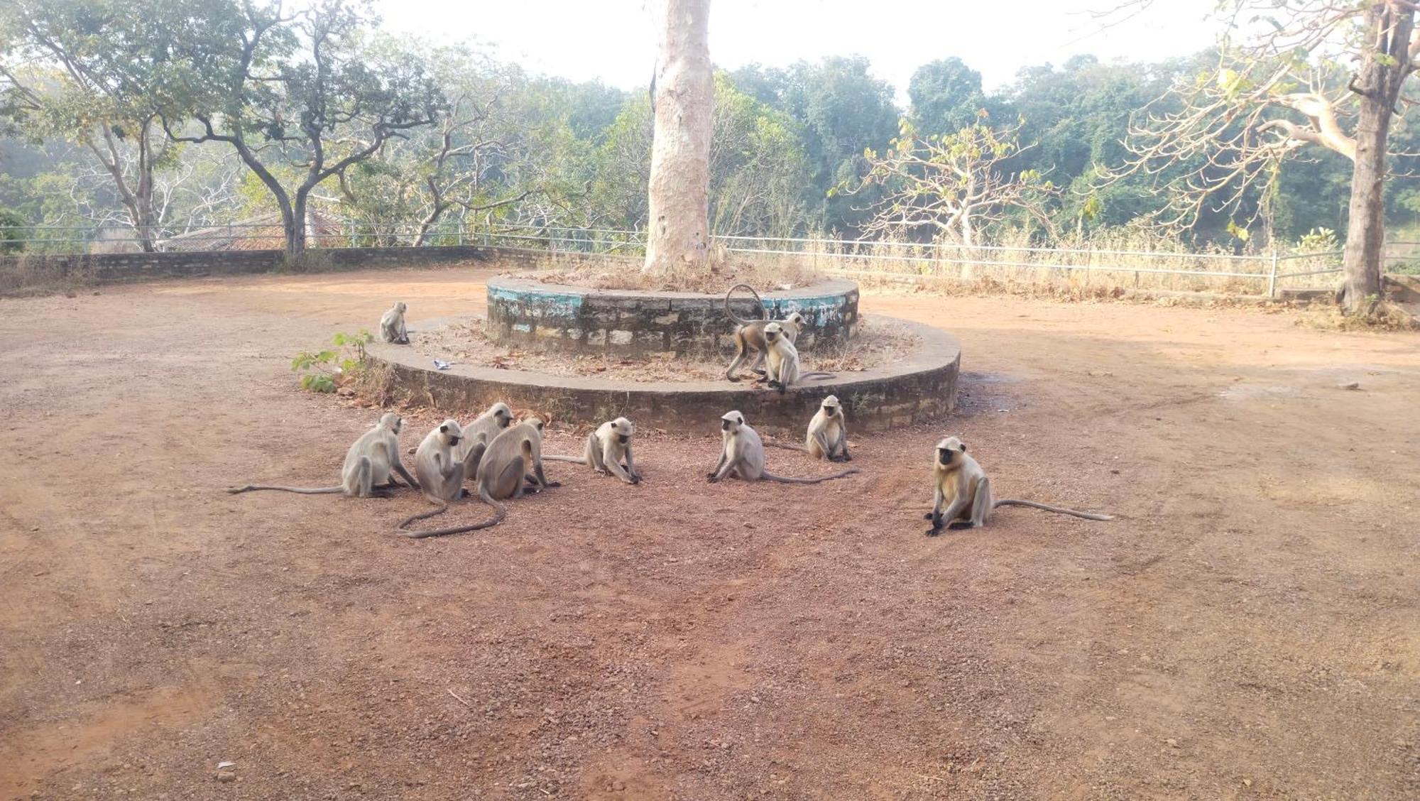 Karma Hostel Khajuraho